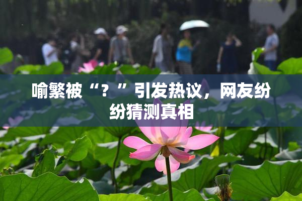 喻繁被“？”引发热议，网友纷纷猜测真相