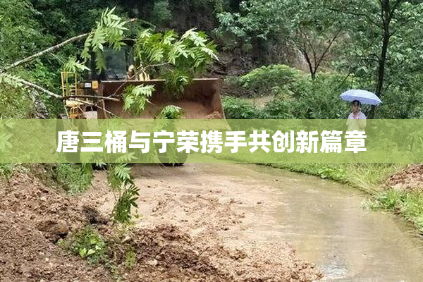 唐三桶与宁荣携手共创新篇章