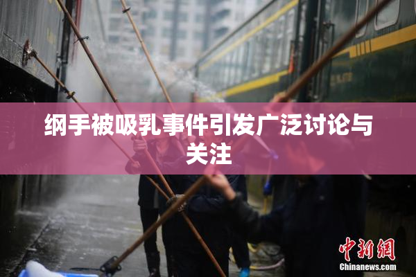 纲手被吸乳事件引发广泛讨论与关注