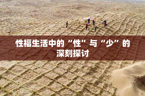 性福生活中的“性”与“少”的深刻探讨