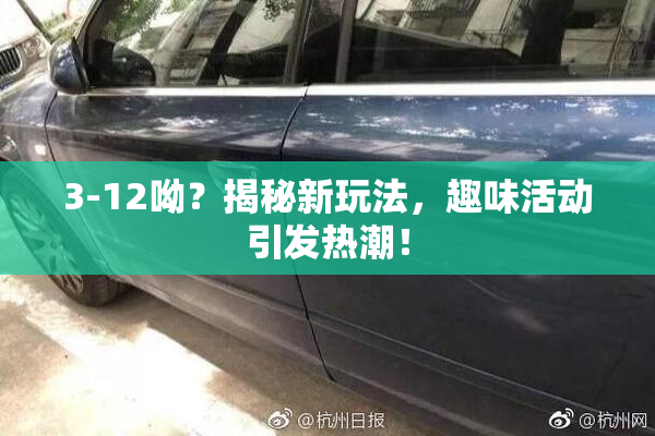3-12呦？揭秘新玩法，趣味活动引发热潮！