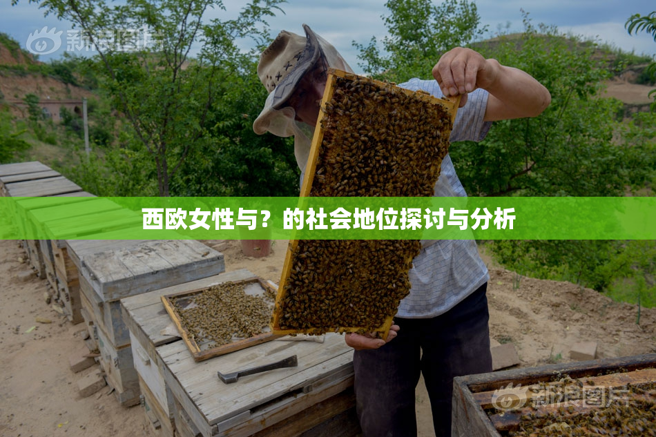西欧女性与？的社会地位探讨与分析