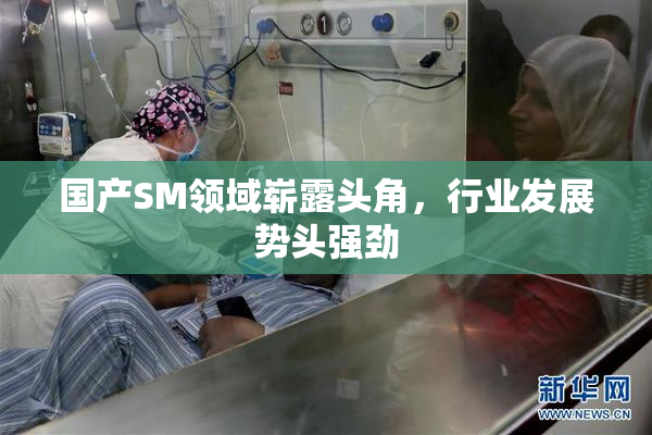 国产SM领域崭露头角，行业发展势头强劲
