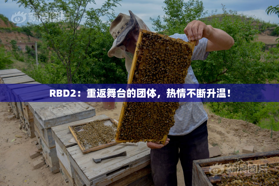 RBD2：重返舞台的团体，热情不断升温！