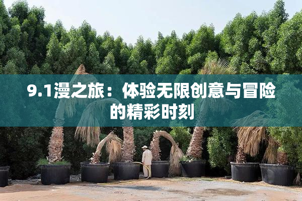 9.1漫之旅：体验无限创意与冒险的精彩时刻