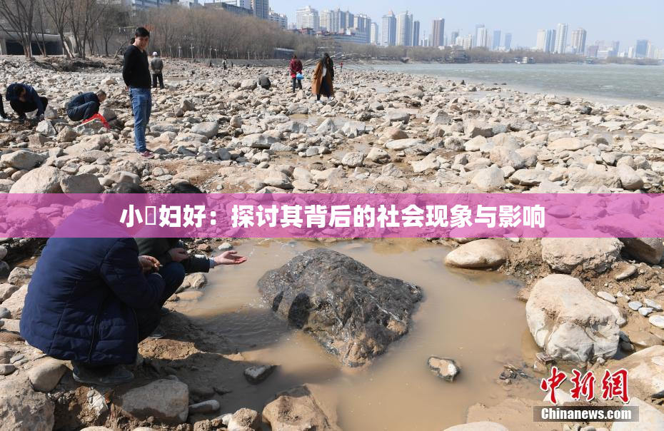 小婬妇好：探讨其背后的社会现象与影响