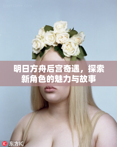 明日方舟后宫奇遇，探索新角色的魅力与故事