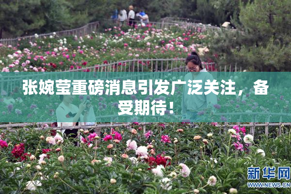 张婉莹重磅消息引发广泛关注，备受期待！