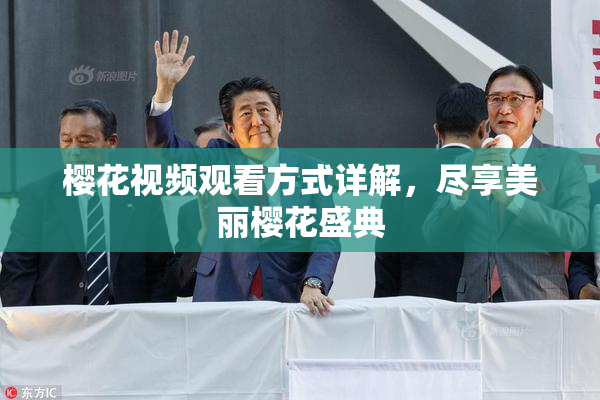 樱花视频观看方式详解，尽享美丽樱花盛典