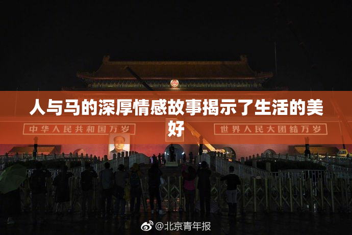 人与马的深厚情感故事揭示了生活的美好