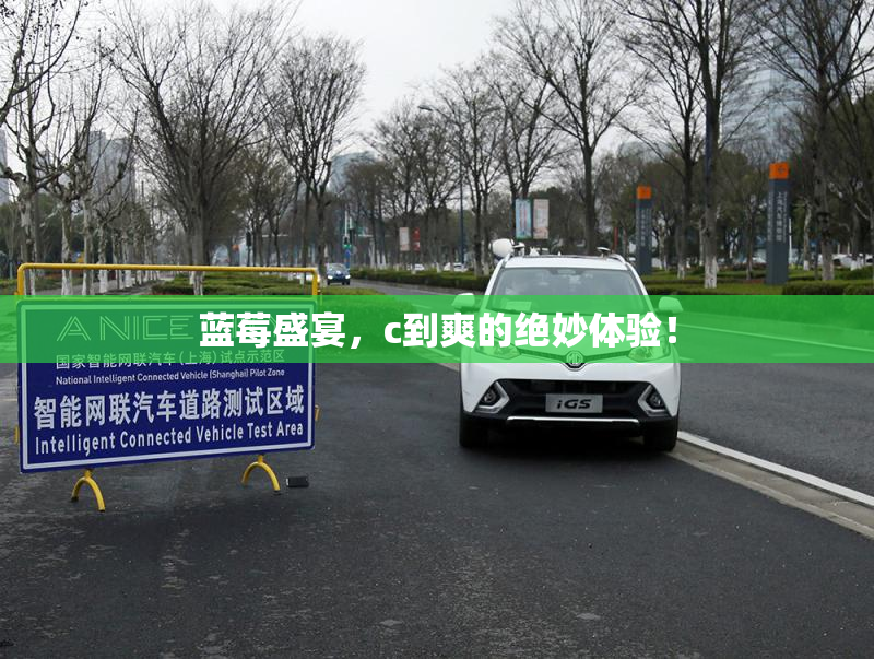 蓝莓盛宴，c到爽的绝妙体验！