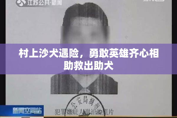 村上沙犬遇险，勇敢英雄齐心相助救出助犬