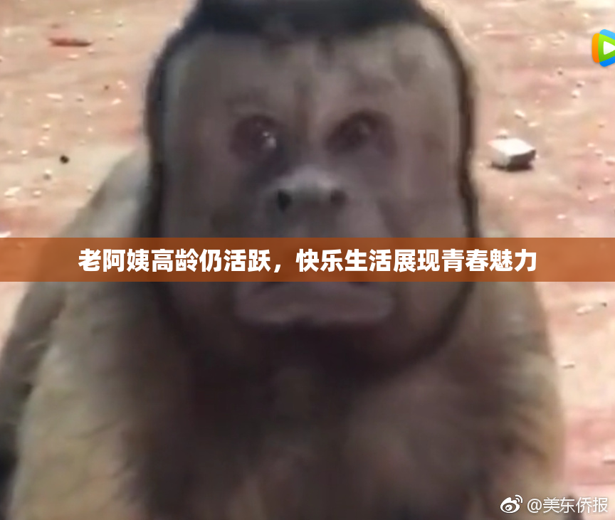 老阿姨高龄仍活跃，快乐生活展现青春魅力