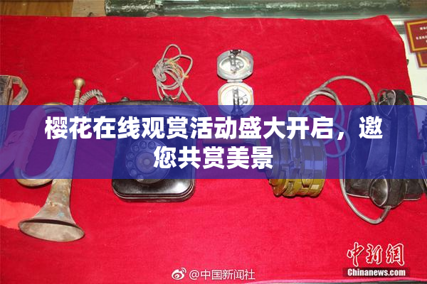 樱花在线观赏活动盛大开启，邀您共赏美景