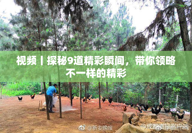 视频丨探秘9道精彩瞬间，带你领略不一样的精彩