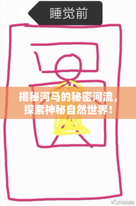 揭秘河马的秘密河流，探索神秘自然世界！