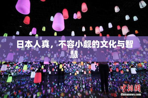 日本人真，不容小觑的文化与智慧