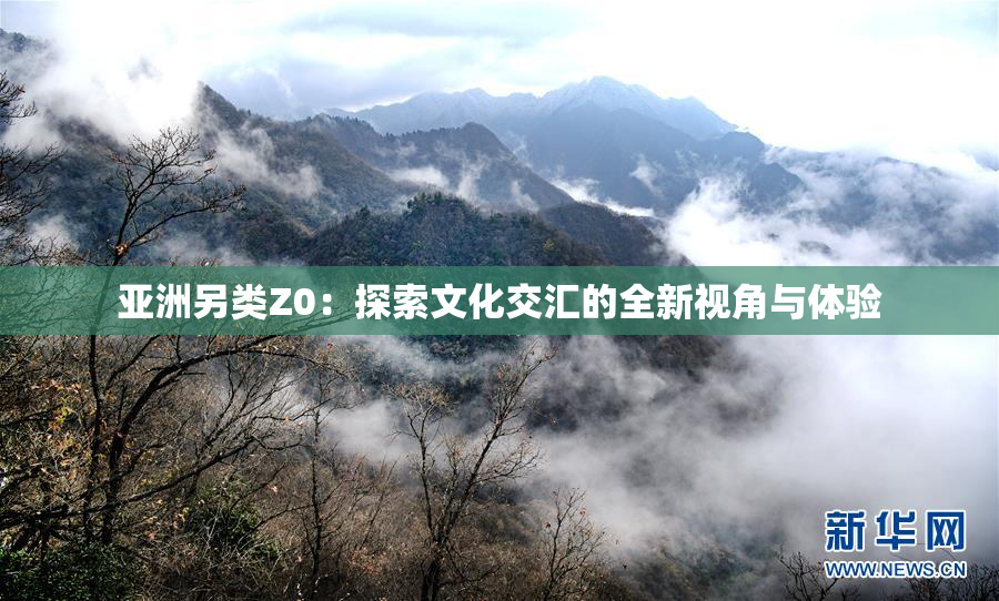 亚洲另类Z0：探索文化交汇的全新视角与体验