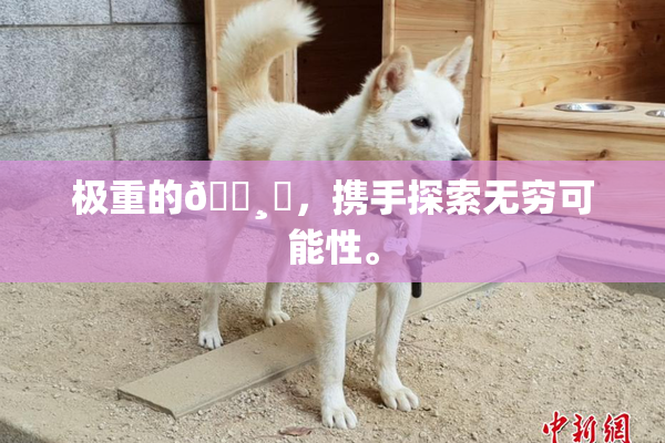 极重的🌸‌，携手探索无穷可能性。