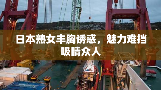 日本熟女丰胸诱惑，魅力难挡吸睛众人