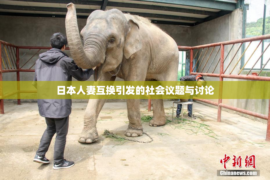 日本人妻互换引发的社会议题与讨论