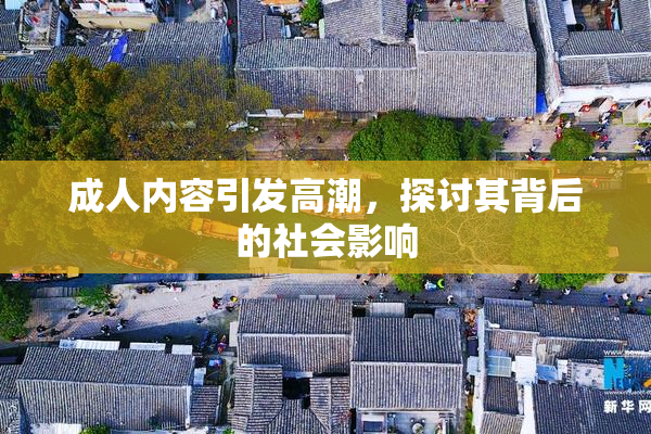 成人内容引发高潮，探讨其背后的社会影响