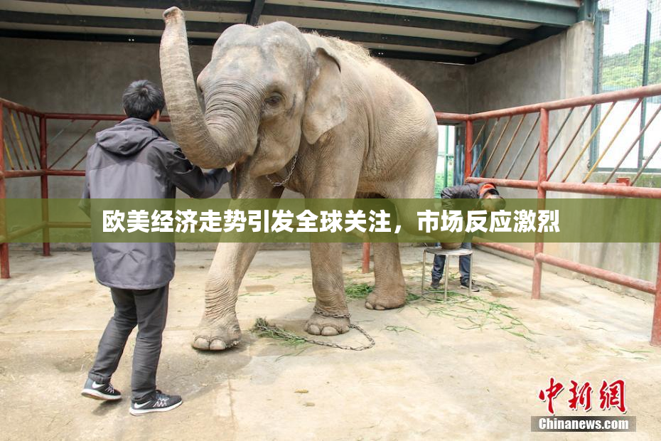 欧美经济走势引发全球关注，市场反应激烈