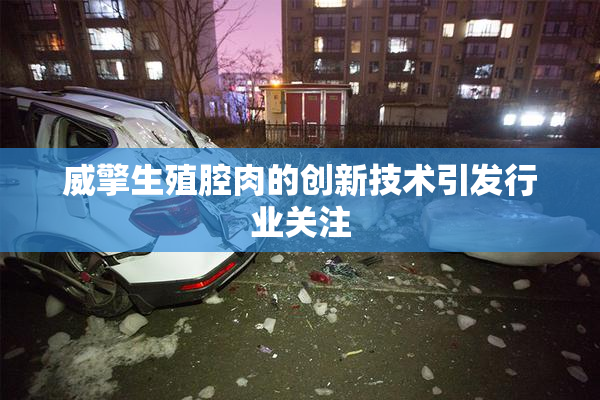 威擎生殖腔肉的创新技术引发行业关注
