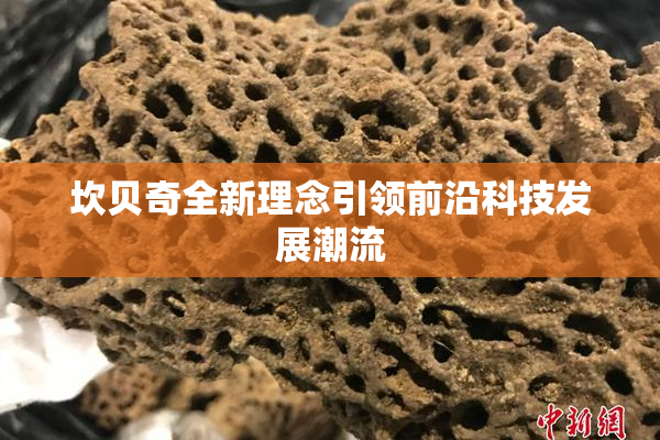 坎贝奇全新理念引领前沿科技发展潮流