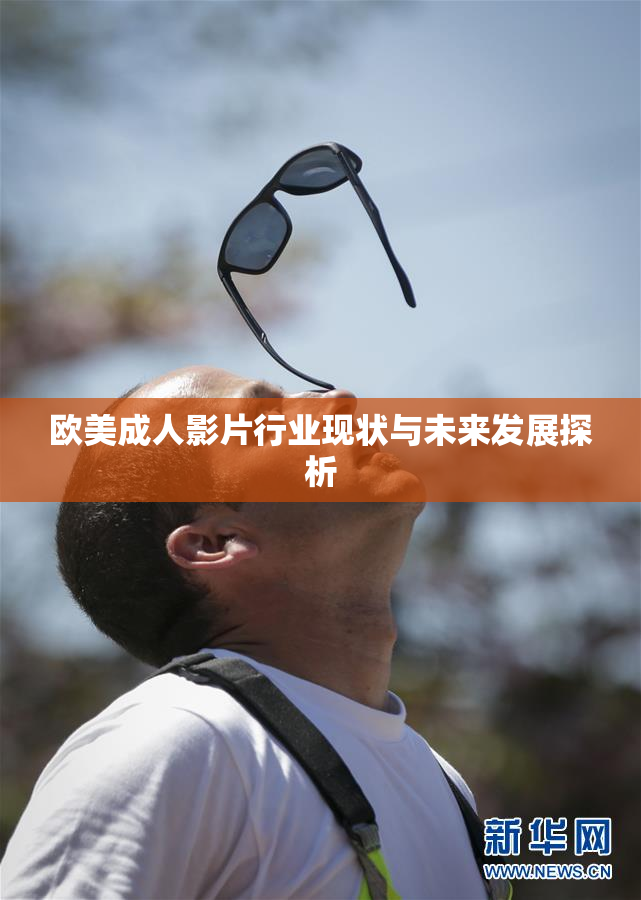 欧美成人影片行业现状与未来发展探析