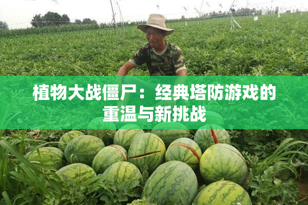 植物大战僵尸：经典塔防游戏的重温与新挑战