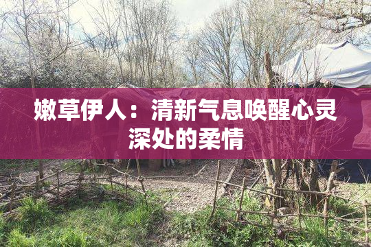 嫩草伊人：清新气息唤醒心灵深处的柔情