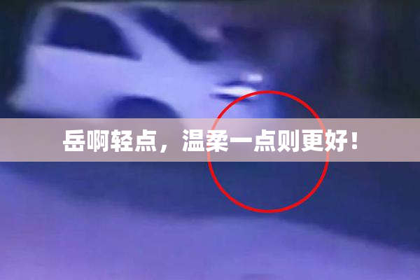 岳啊轻点，温柔一点则更好！