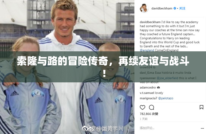 索隆与路的冒险传奇，再续友谊与战斗！