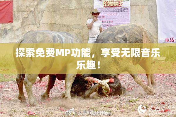 探索免费MP功能，享受无限音乐乐趣！