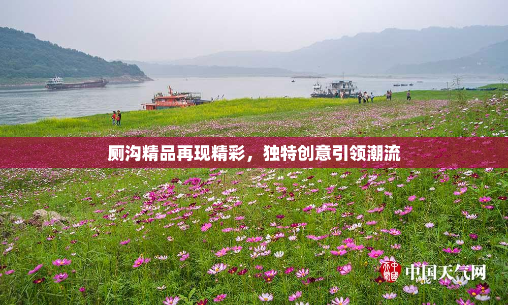 厕沟精品再现精彩，独特创意引领潮流