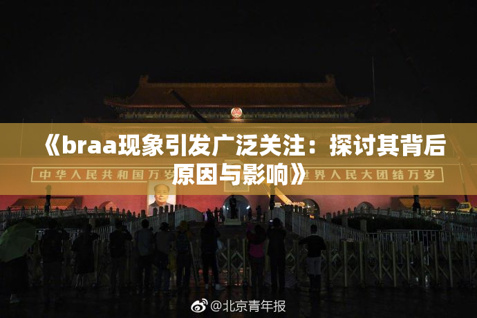 《braa现象引发广泛关注：探讨其背后原因与影响》