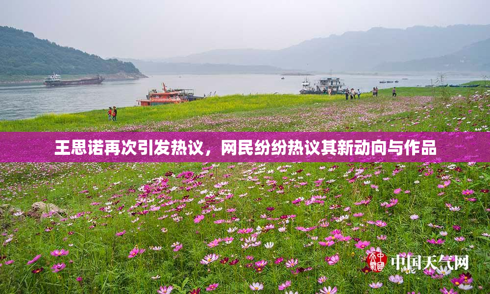 王思诺再次引发热议，网民纷纷热议其新动向与作品