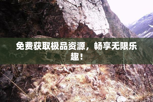 免费获取极品资源，畅享无限乐趣！