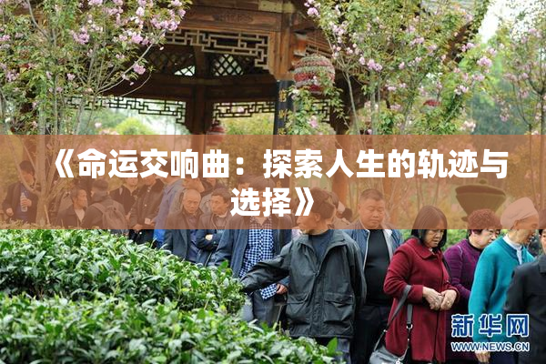 《命运交响曲：探索人生的轨迹与选择》