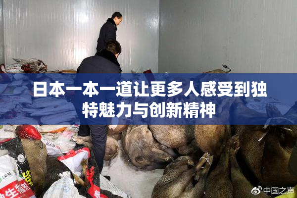 日本一本一道让更多人感受到独特魅力与创新精神