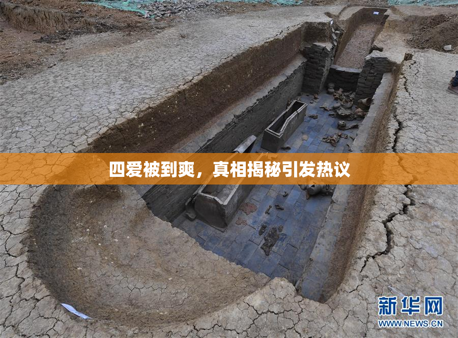 四爱被到爽，真相揭秘引发热议