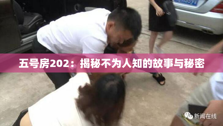 五号房202：揭秘不为人知的故事与秘密
