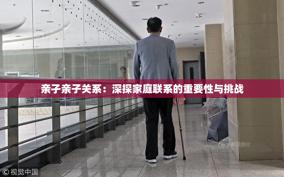 亲孑亲子关系：深探家庭联系的重要性与挑战