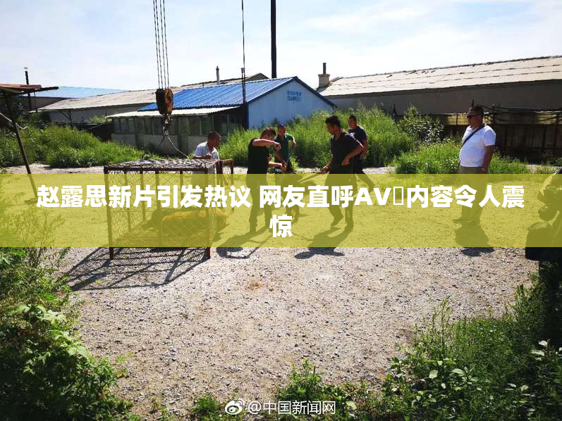 赵露思新片引发热议 网友直呼AV婬内容令人震惊