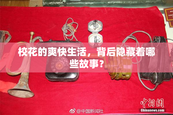 校花的爽快生活，背后隐藏着哪些故事？