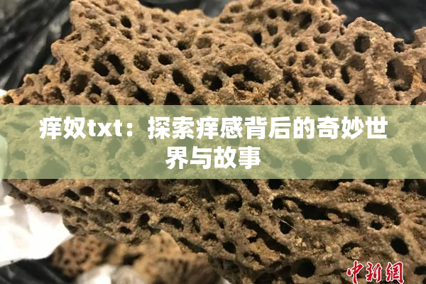 痒奴txt：探索痒感背后的奇妙世界与故事