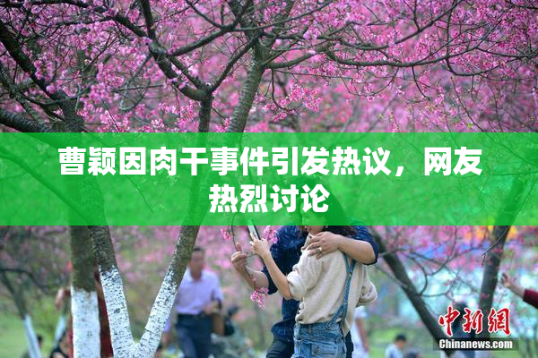 曹颖因肉干事件引发热议，网友热烈讨论