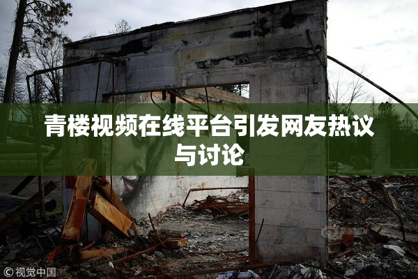 青楼视频在线平台引发网友热议与讨论