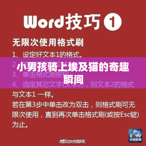小男孩骑上埃及猫的奇趣瞬间